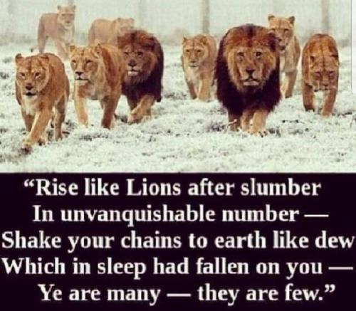 IMG_20211119_003954_821