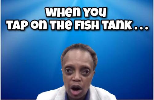 24B2024C-898C-4629-AE2B-6620F8060634