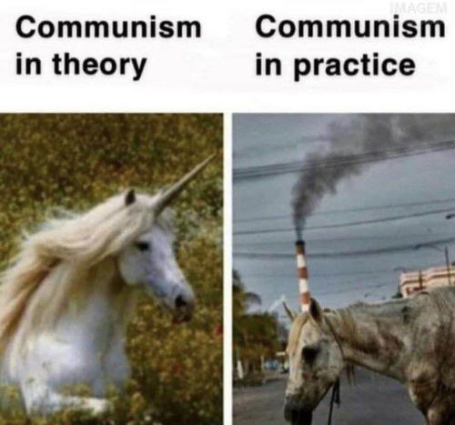 image_1636393269.617