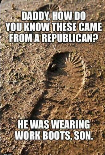 img - 2021-11-07T134113.399