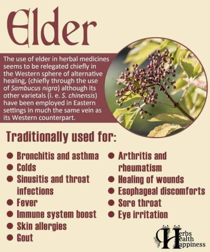 Elder