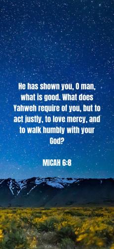 D657A970-59D3-45F5-9F0A-2D5C23432C08