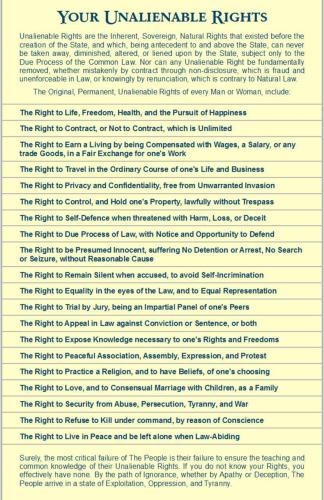 image_1636309739.888