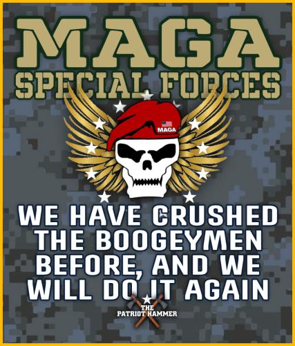 image_1635804428.697