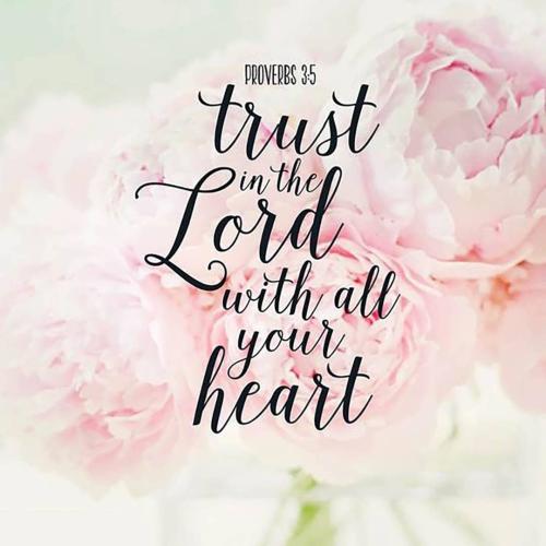 IMG_20211128_200121_283