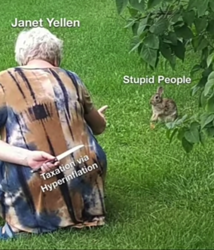 Screenshot_20211101-030646~2