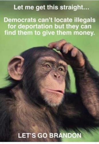 87F895F9-5218-4C6B-8CC9-F34BECDC4A0D