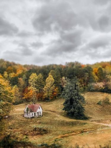 EFD336C0-8623-4CFC-8C6D-A2E3729532C8