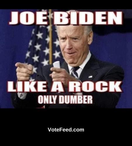 Joe Biden - Like a rock - only dumber