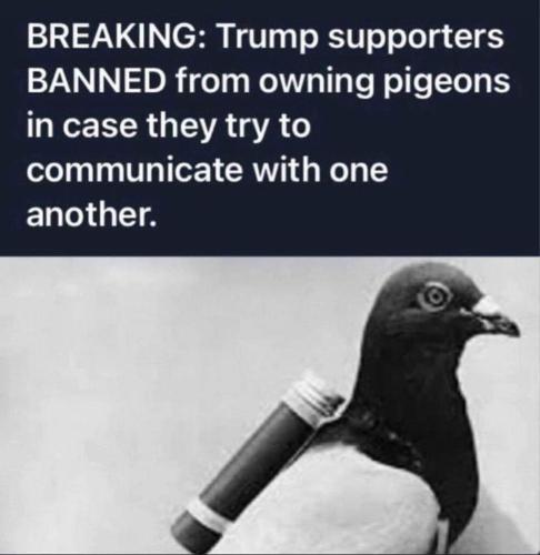 Breaking.  Trump supporters BANNED from owning pigeons in case they try to communicate with one another