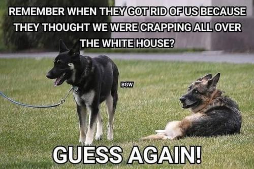 3E1DCC9E-8CCB-4B79-A5B1-2B9AE65C3B69