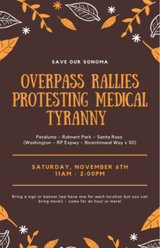 55D612C0-4A98-46D5-AB47-AB99D3A136B8