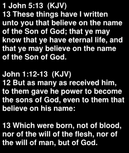 1 John 5.13