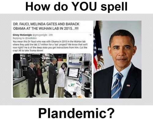 How do YOU spell plandemic