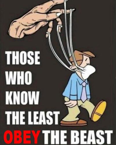 M know