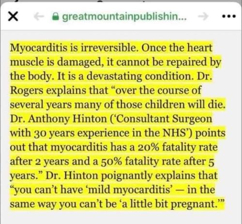 sngine_a7f315145c63156e83edc7baa72f4000