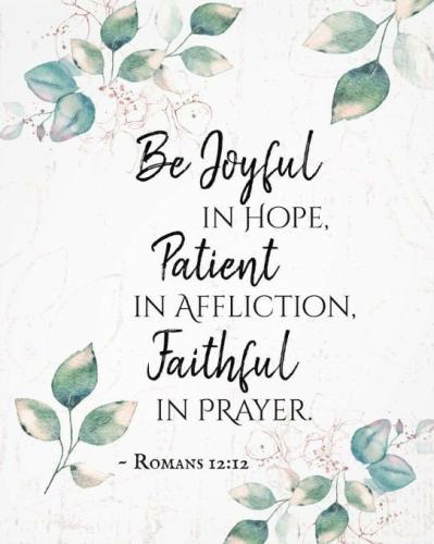 IMG_20211115_044458_006