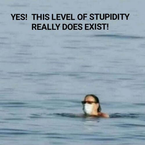 photo_editor_ds_1637442037794