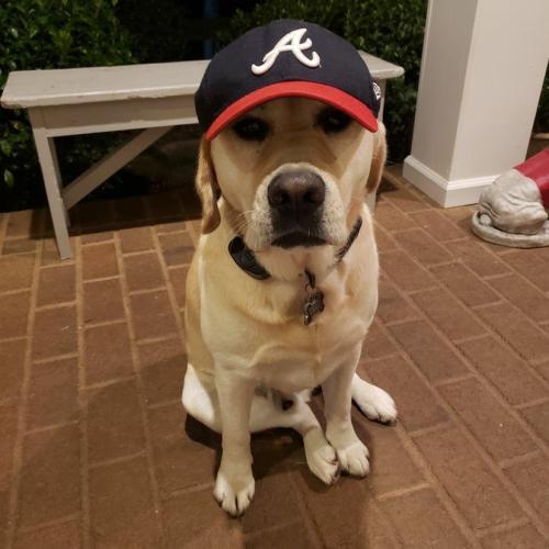 image_1635960053.553