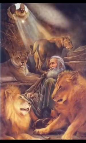 Screenshot_20211102-212138_Photos