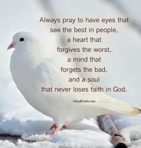 FB_IMG_1444052677295