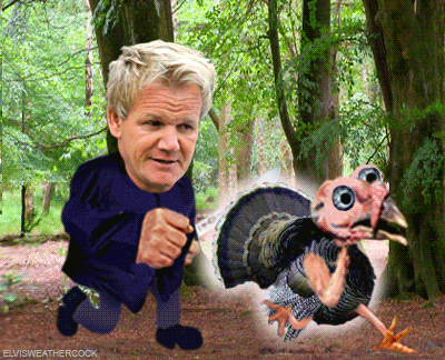 plucking-shed-ramsay