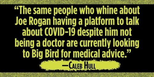 RoganBigBird1