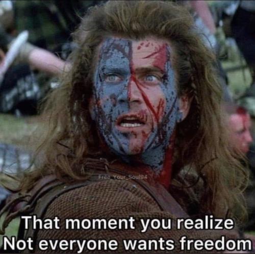 photo_2021-11-10_18-55-49