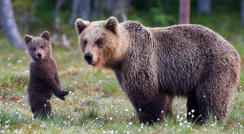 C9D6327D-39DE-496F-B66F-7C32ACBA2A50