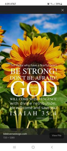 Screenshot_20211122-180940_DuckDuckGo