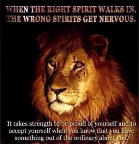 IMG_20211119_003024_736