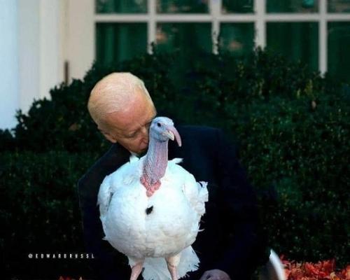 The Man from S.N.I.F.F.