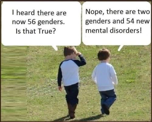 56 Genders No 54 Mental Disorders