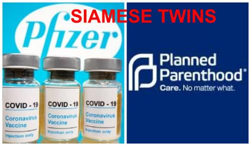 pfizer planned parenthood irmaos siameses