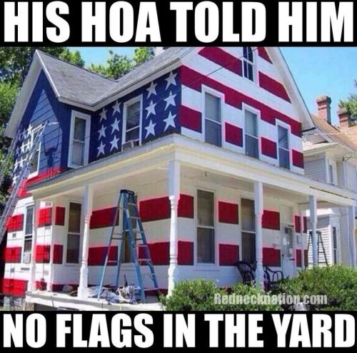 image_1636385341.452