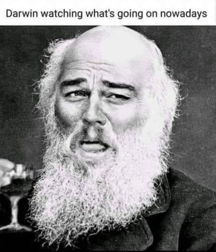 darwin