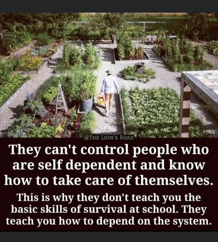 409F034E-C741-4355-82AB-C991440D1884