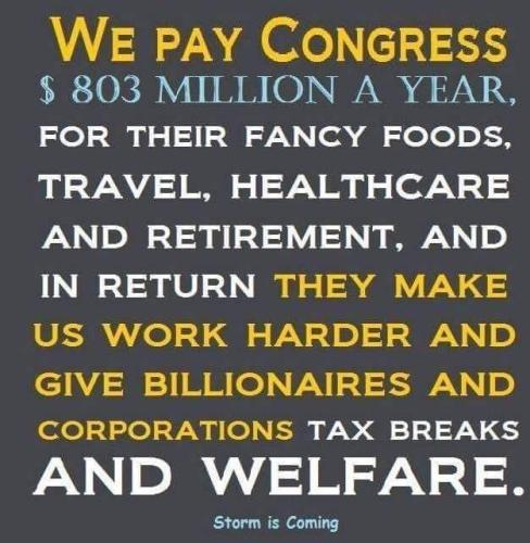 image_1636032870.593