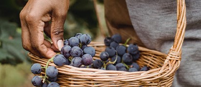 A True Disciple of Jesus