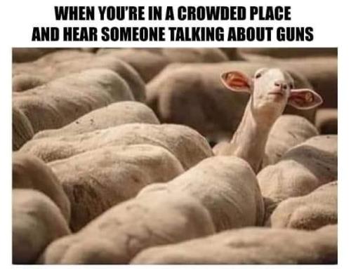 EB098847-FEC7-4A1D-A7ED-AEED128C7500