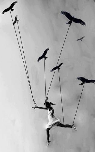 assisted flight