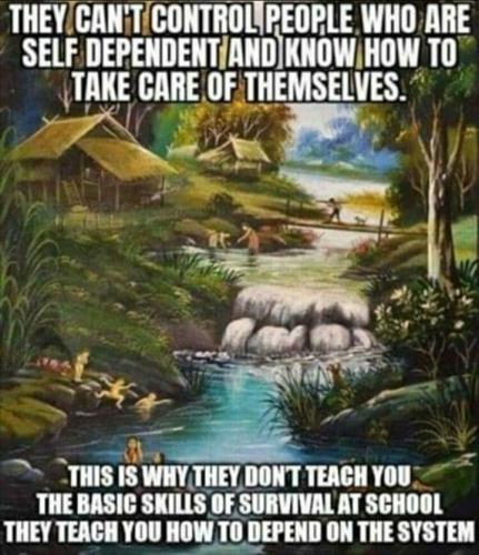 259833187_2936658259998400_8842463244416367821_n