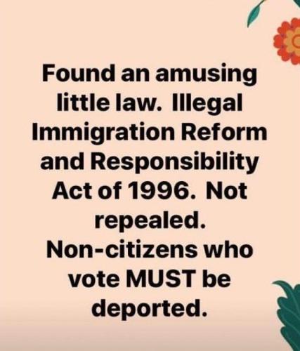 Illegals - Non-citizens that vote MUST be deported
