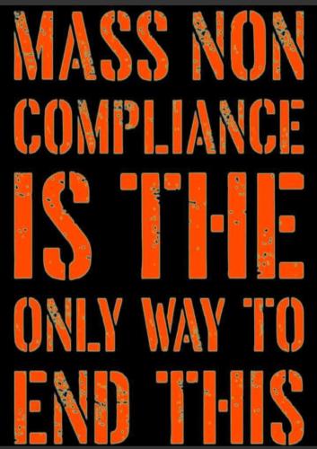 Screenshot_20211122-213815_CloutHub