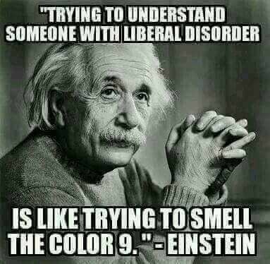 image_1637528459.007