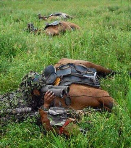 FB_IMG_1636662038483