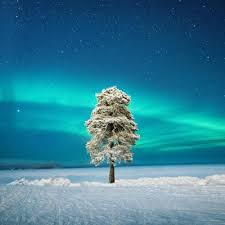 CEFAD1F6-5945-4FB5-BB6F-BDE8E78C8F24