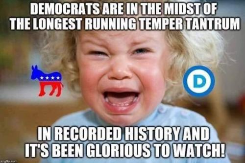 DemsCry