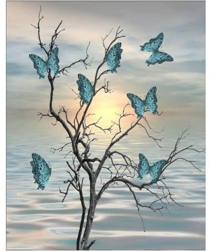 B67A2492-38FA-4AB8-84D6-891BF281D2F1