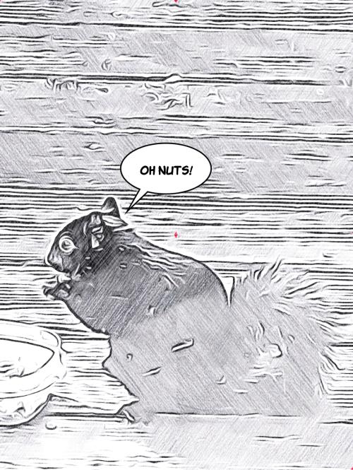 _storage_emulated_0_Pictures_comica_cartoon1631989609518